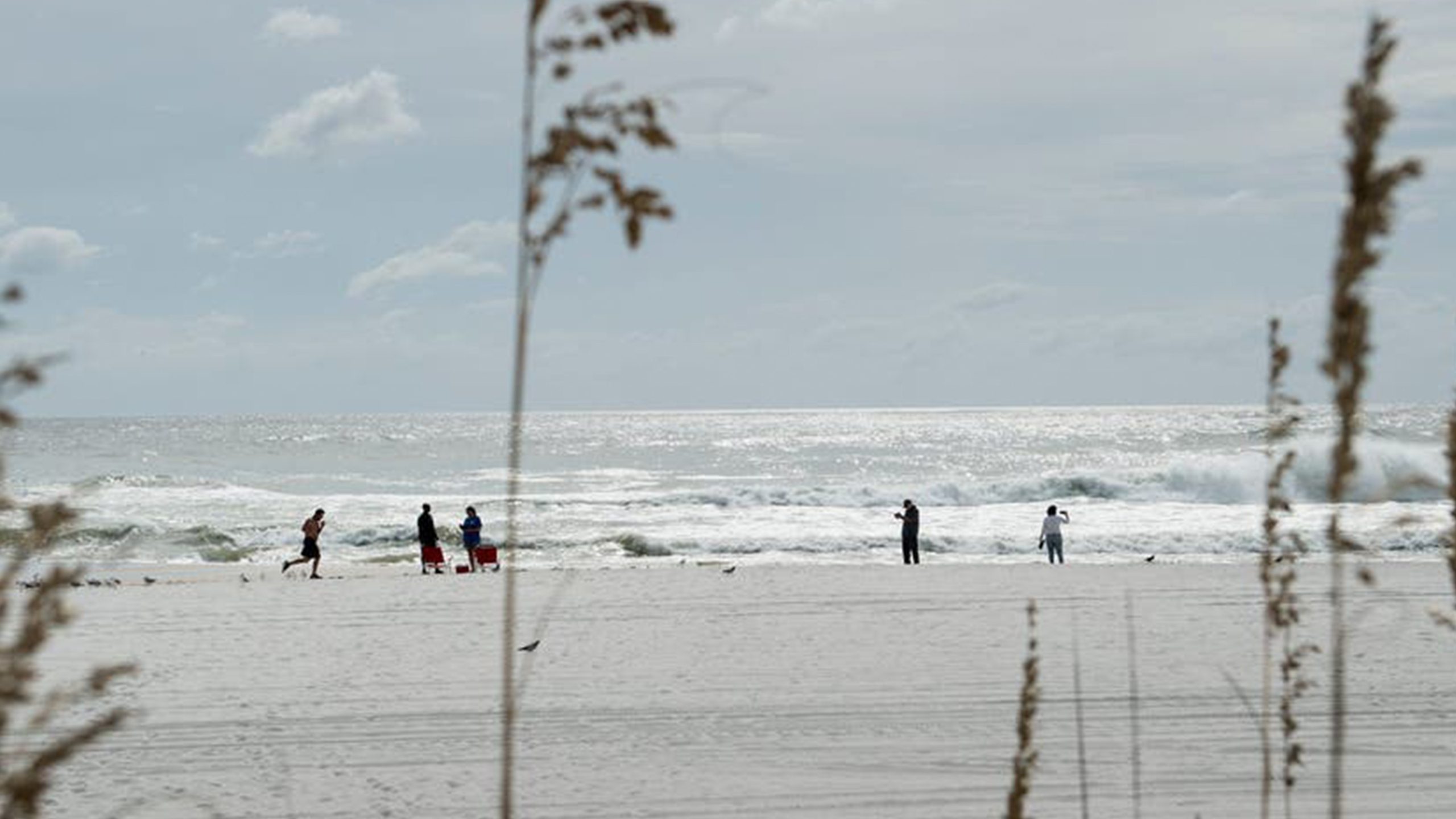 Father of 2 drowns after being caught in current trying to rescue seagull caught in fishing line — Minneapolis Community news